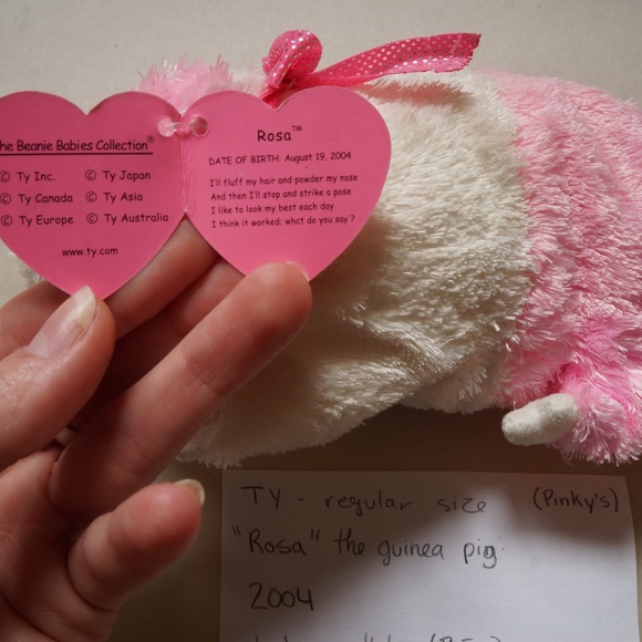 TY (pinky's) - beanie baby - Rosa the guinea pig (2004) - Picture 2 of 3